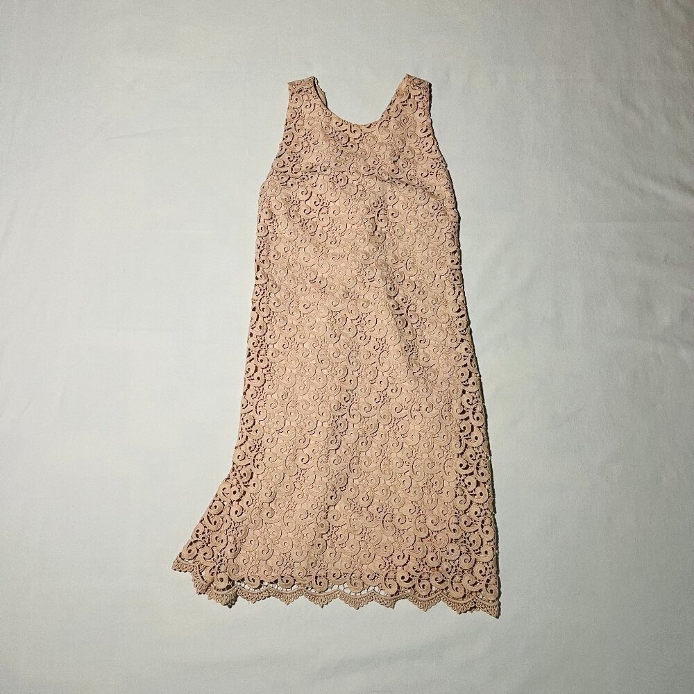 Pink Lace Dress